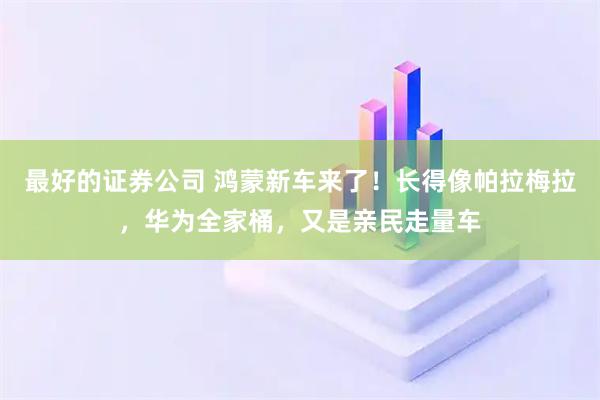 最好的证券公司 鸿蒙新车来了！长得像帕拉梅拉，华为全家桶，又是亲民走量车